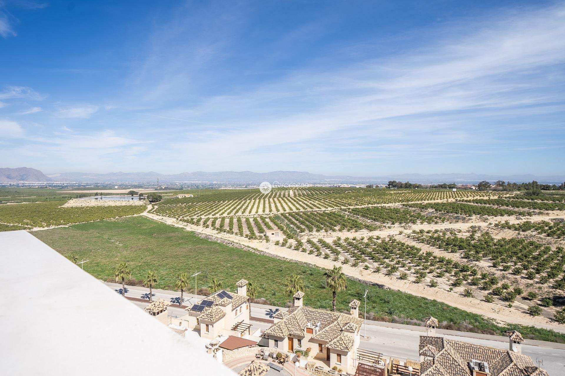 Obra nueva - Villa -
Algorfa - La Finca Golf