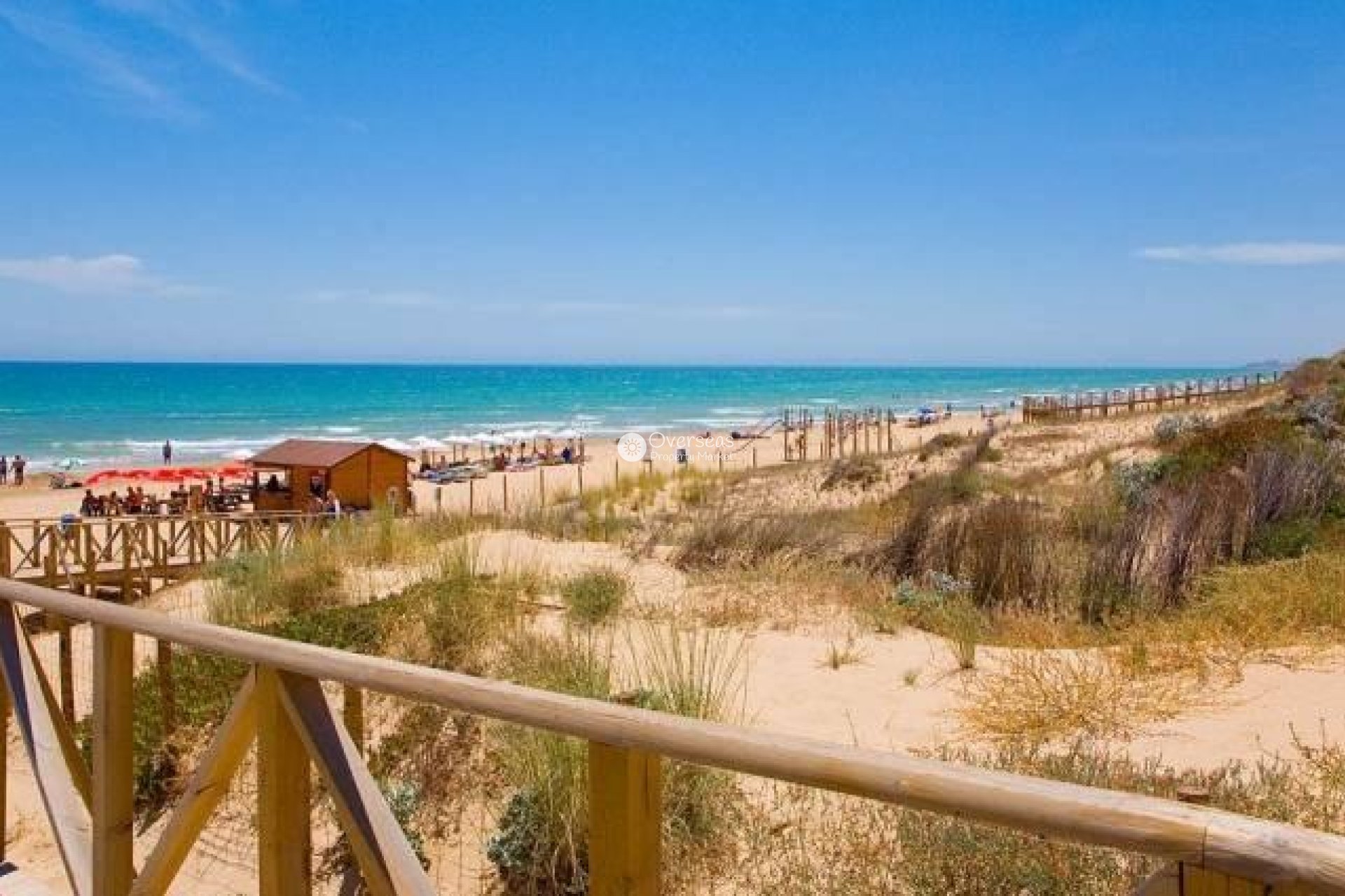 Obra nueva - Villa -
Benijofar