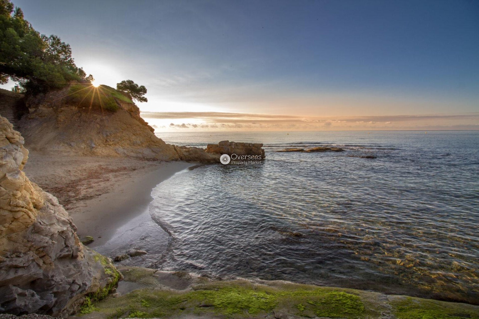 Obra nueva - Villa -
Benissa