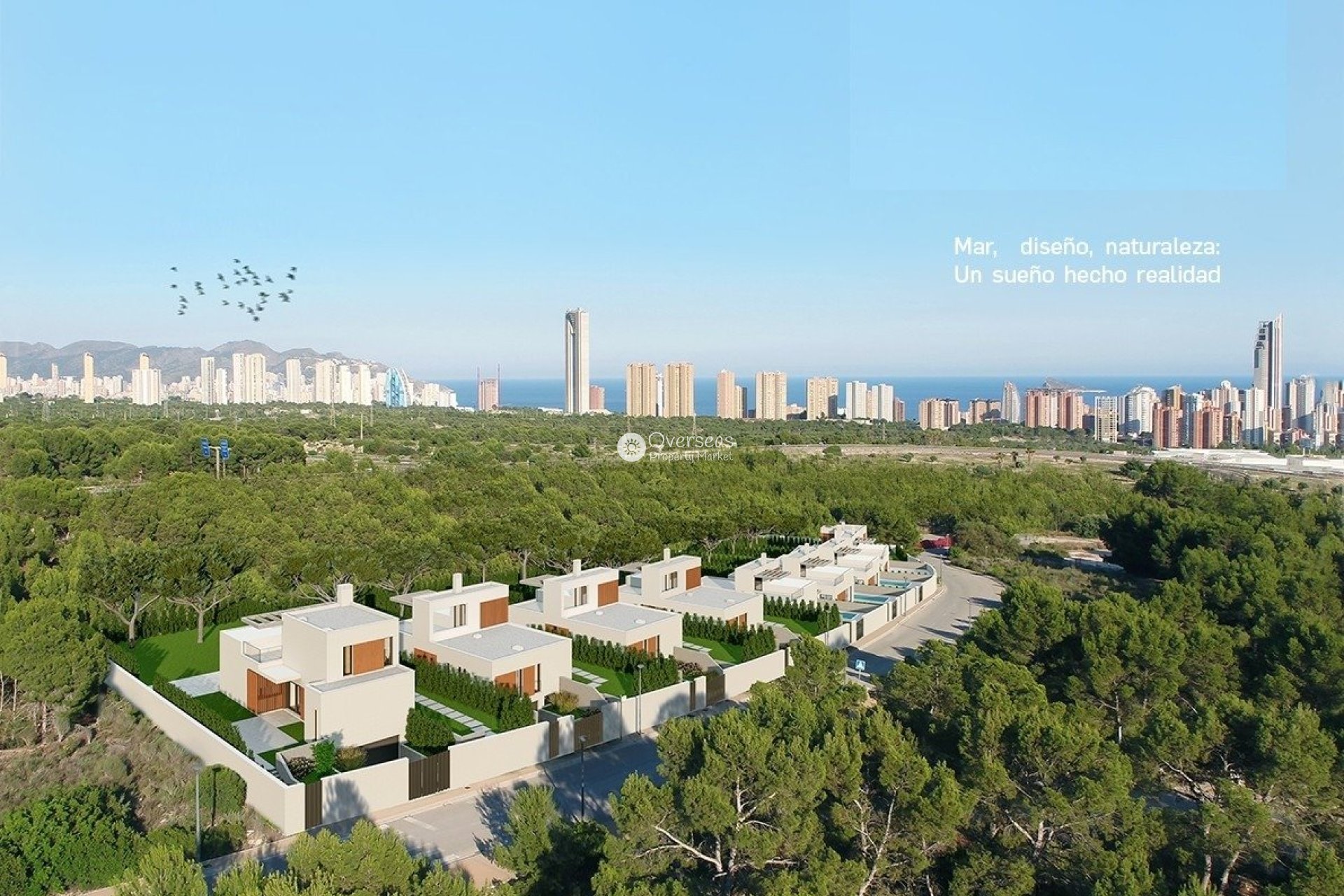 Obra nueva - Villa -
Finestrat