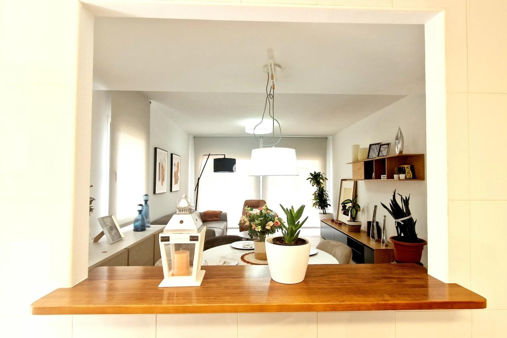 Obra nueva - Villa -
Lorca