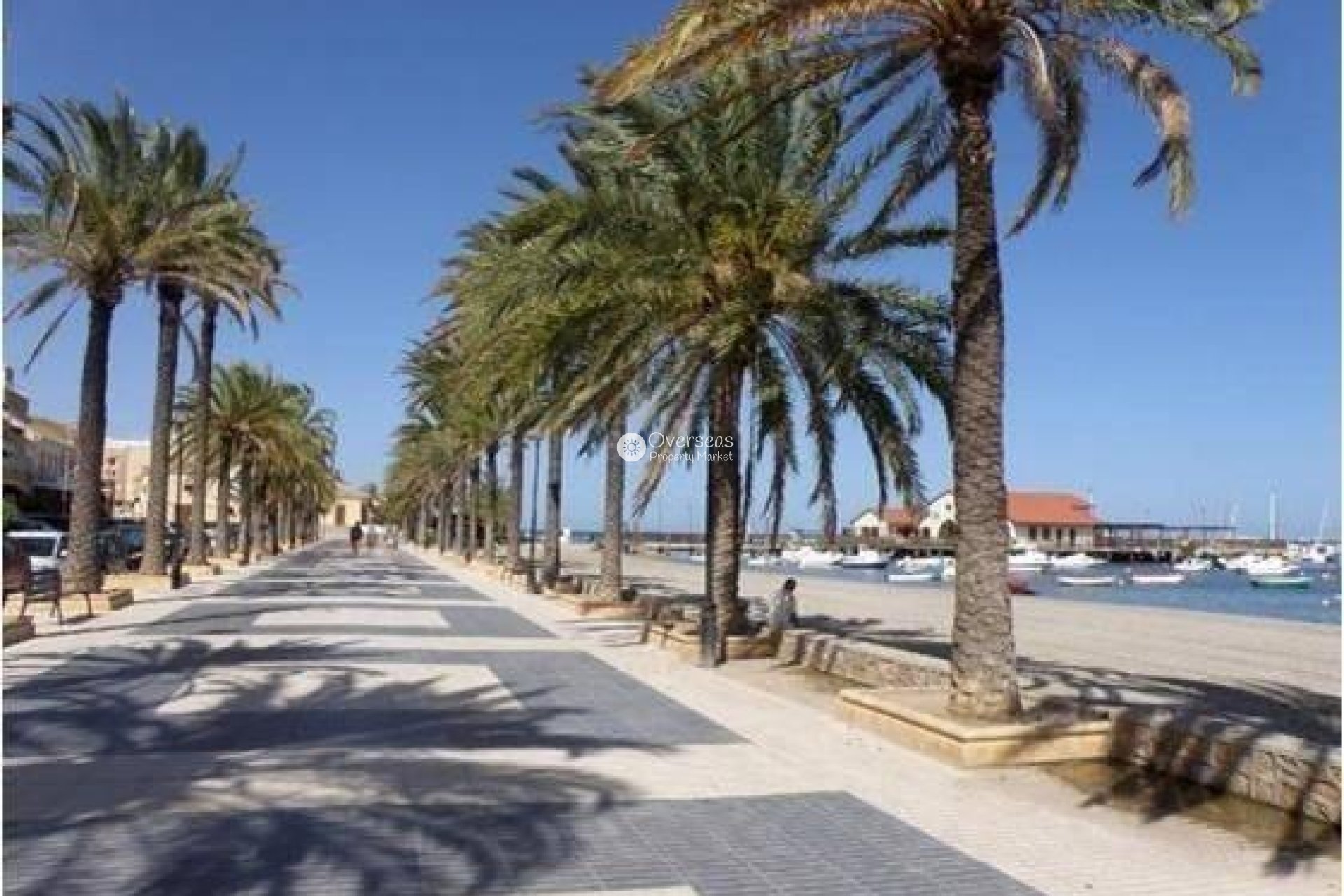 Obra nueva - Villa -
Los Alcazares