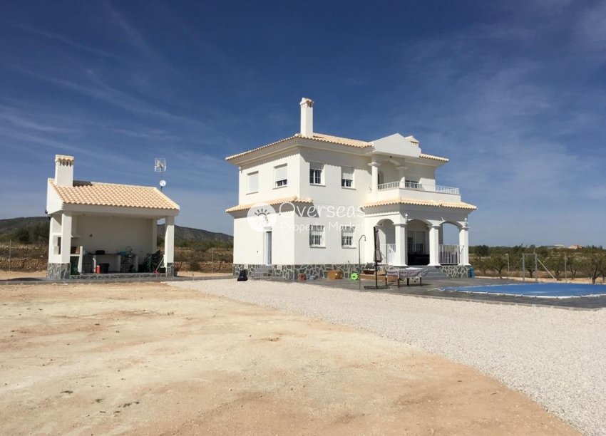 Obra nueva - Villa -
Pinoso