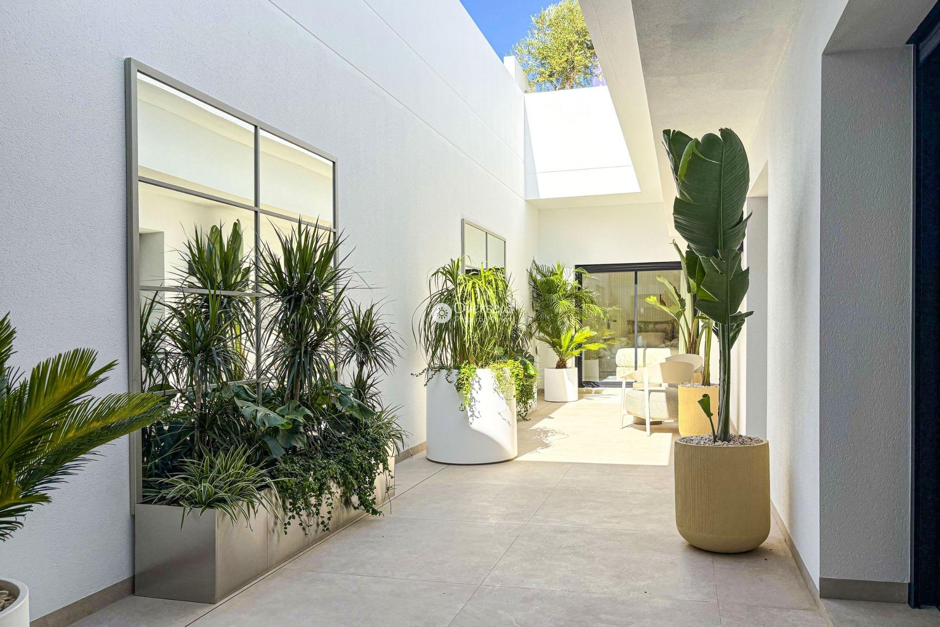 Obra nueva - Villa -
Rojales