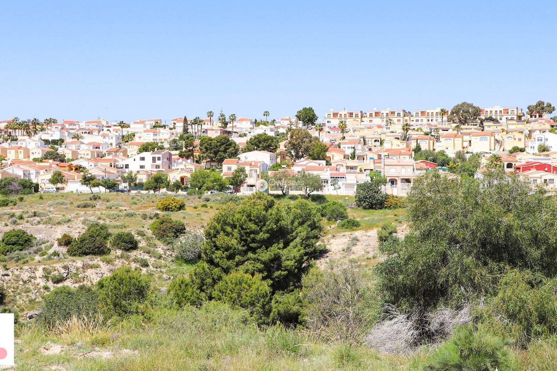 Obra nueva - Villa -
San Fulgencio