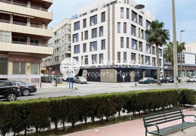 Penthouse - Neue Gebäude - Torrevieja -
                Torrevieja