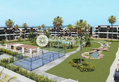 Penthouse - Neue Gebäude - Torrevieja -
                Torrevieja