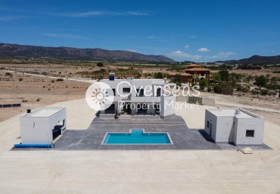 Villa - Nowy budynek - Pinoso -
                Pinoso