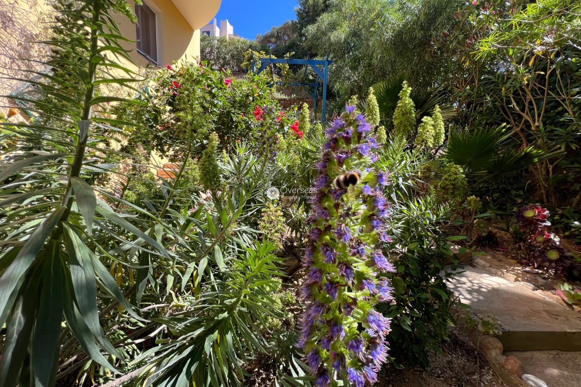 Wiederverkauf - Villa -
La Manga Club