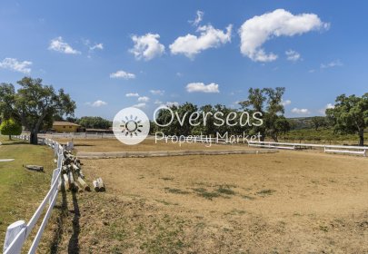 Nieuwbouw Woningen - Appartement / flat -
Sotogrande - San Roque Club