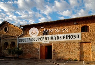 Obra nueva - Villa -
Pinoso - Lel