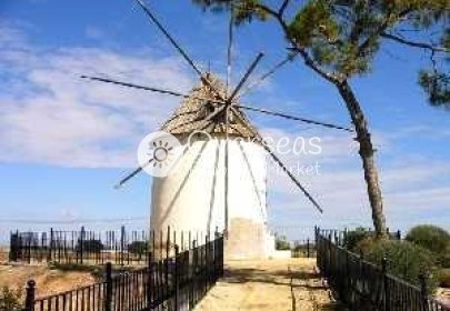 Nieuwbouw Woningen - Villa -
Torre Pacheco - Torre-pacheco