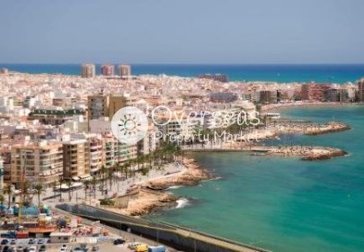 Nowy budynek - Villa -
Torrevieja - Aguas Nuevas