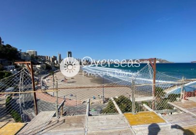 Nowy budynek - Daszek -
Benidorm - Poniente