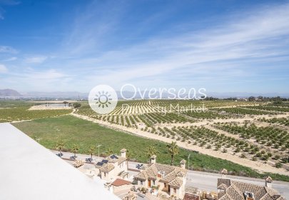 Obra nueva - Villa -
Algorfa