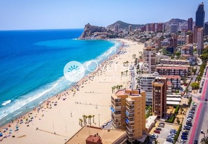 Obra nueva - Semidetached -
Finestrat