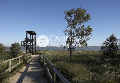 Obra nueva - Ground floor apartment -
San Miguel de Salinas