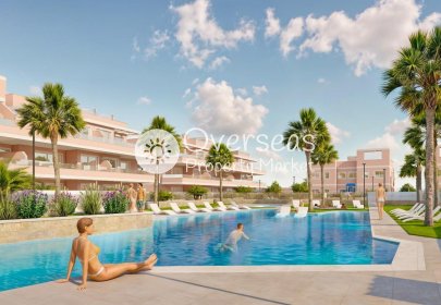 Obra nueva - Apartamento / piso -
Pilar de La Horadada