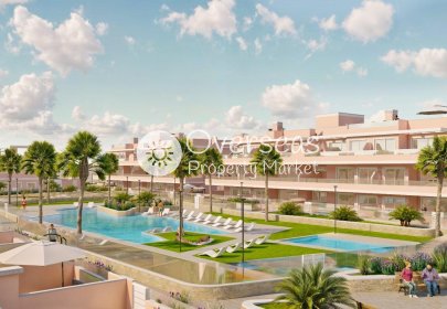 Obra nueva - Apartamento / piso -
Pilar de La Horadada