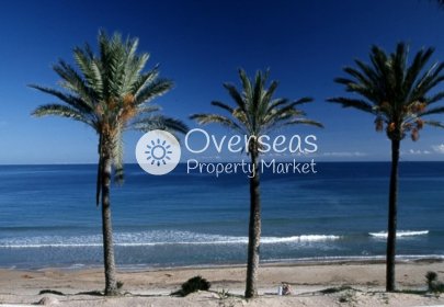 Obra nueva - Top Floor Bungalow -
Pilar de La Horadada