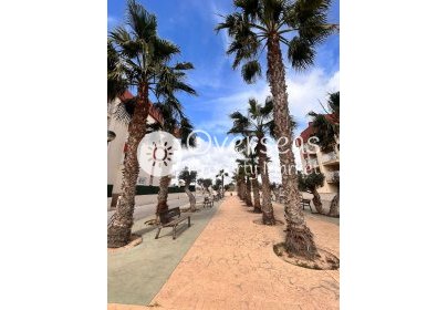 Obra nueva - Apartamento / piso -
Orihuela Costa