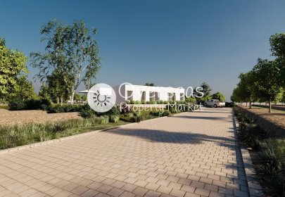 Obra nueva - Villa -
Algorfa