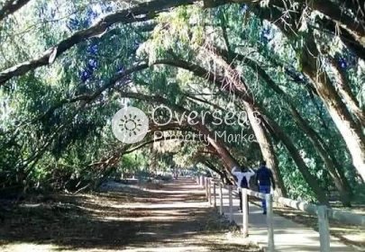 Nouvelle construction - Ground Floor Bungalow -
Torrevieja