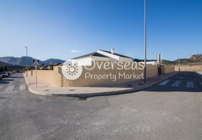 Nouvelle construction - Villa -
Pinoso