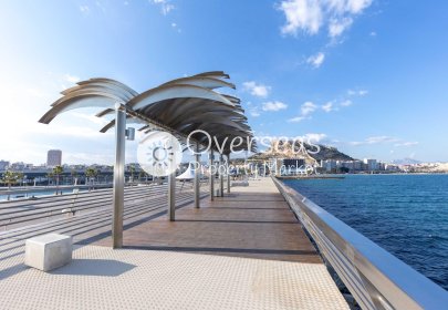 Nowy budynek - Ground floor apartment -
Alicante