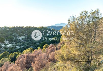 Obra nueva - Apartamento / piso -
Finestrat