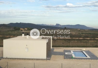 Obra nueva - Villa -
Pinoso