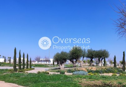 New Build - Apartment / flat -
Torre Pacheco