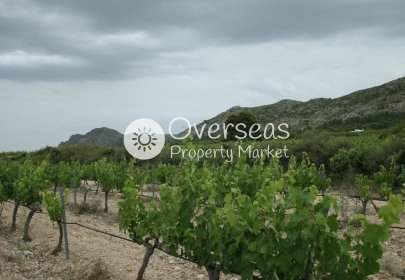 Obra nueva - Villa -
Yecla