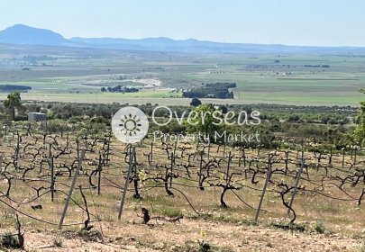 Obra nueva - Villa -
Yecla