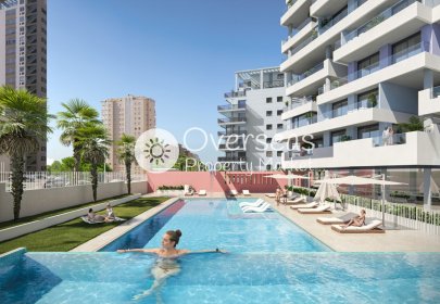 Obra nueva - Ático -
Calpe