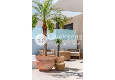 Obra nueva - Adosado -
Dolores