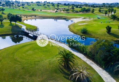 Nowy budynek - Villa -
Orihuela