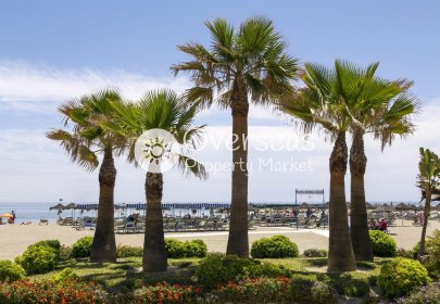 Nouvelle construction - Attique -
Mijas