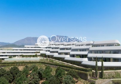 Obra nueva - Ático -
Casares