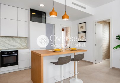 New Build - Villa -
Vera