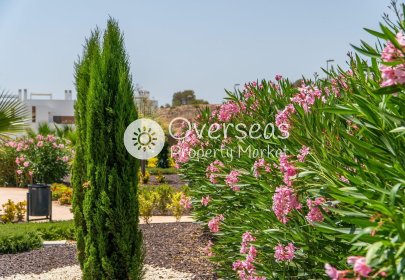 New Build - Top Floor Bungalow -
Orihuela