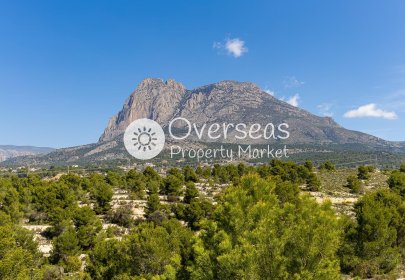 Obra nueva - Villa -
Finestrat