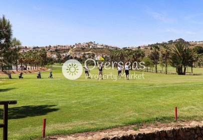 Obra nueva - Villa -
Rojales