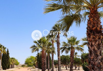 New Build - Villa -
San Fulgencio