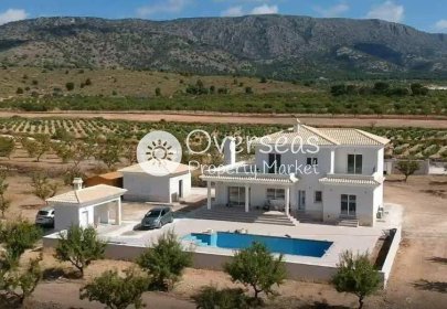 Obra nueva - Villa -
Pinoso