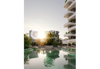 Obra nueva - Apartamento / piso -
Calpe