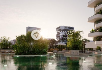 Obra nueva - Apartamento / piso -
Calpe