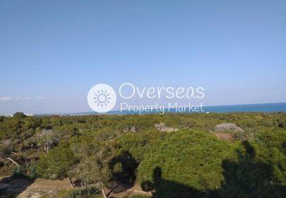 Obra nueva - Apartamento / piso -
Guardamar del Segura