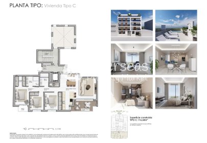 Obra nueva - Apartamento / piso -
Guardamar del Segura