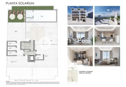 Neue Gebäude - Penthouse -
Guardamar del Segura